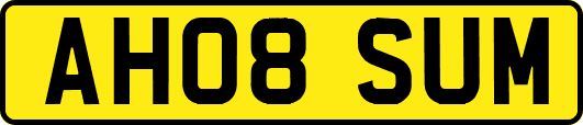 AH08SUM