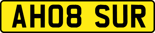 AH08SUR