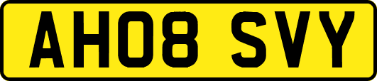 AH08SVY