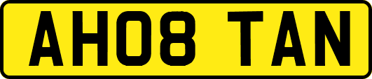 AH08TAN