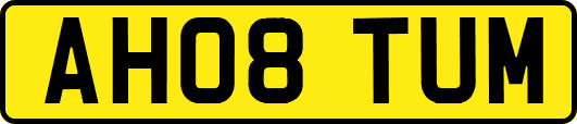 AH08TUM