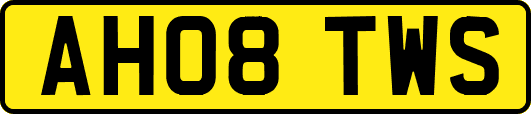 AH08TWS