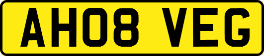 AH08VEG