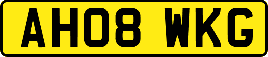 AH08WKG