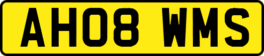 AH08WMS