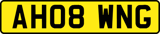 AH08WNG