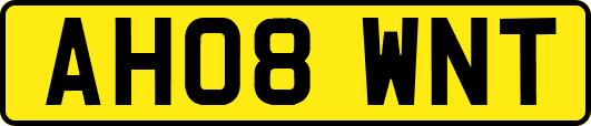 AH08WNT