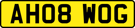 AH08WOG