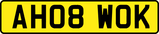AH08WOK