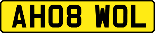 AH08WOL