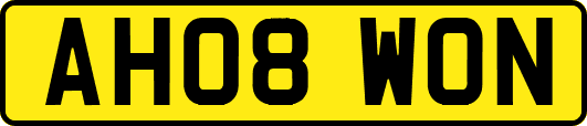 AH08WON