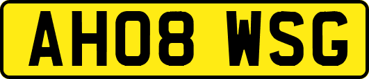 AH08WSG