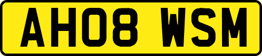 AH08WSM