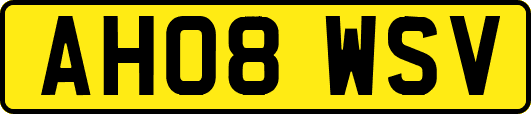 AH08WSV