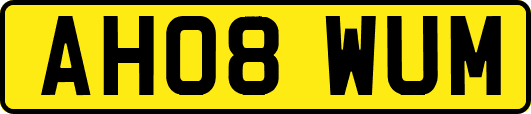 AH08WUM