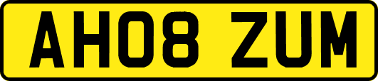 AH08ZUM