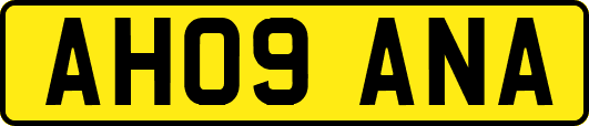 AH09ANA