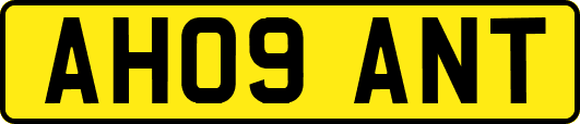 AH09ANT