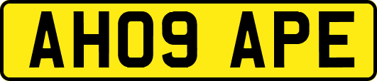 AH09APE