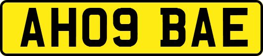 AH09BAE