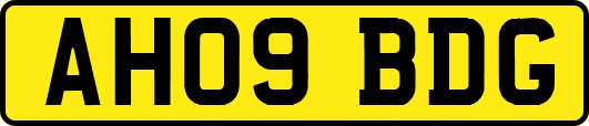AH09BDG
