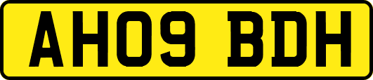 AH09BDH