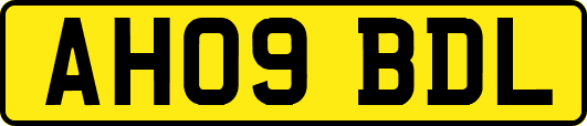 AH09BDL