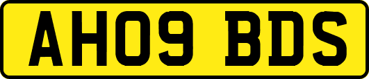 AH09BDS