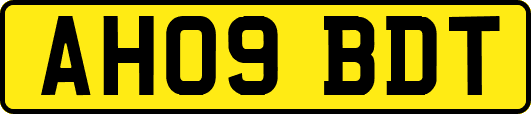 AH09BDT
