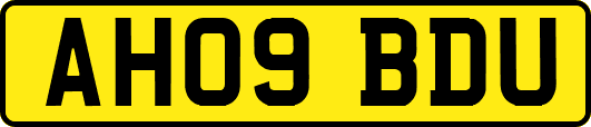 AH09BDU