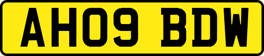 AH09BDW