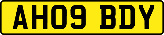 AH09BDY