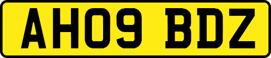 AH09BDZ
