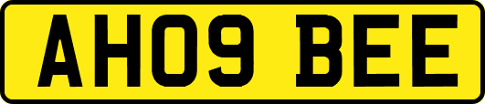 AH09BEE