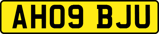 AH09BJU
