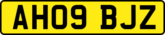 AH09BJZ