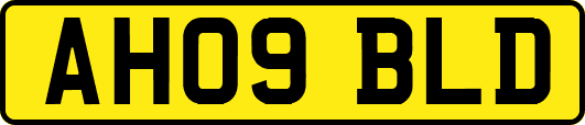 AH09BLD