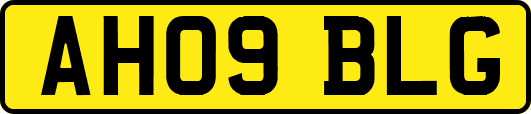 AH09BLG