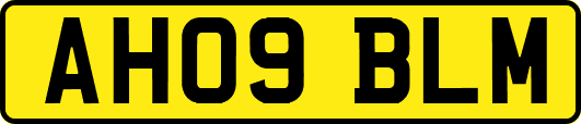 AH09BLM