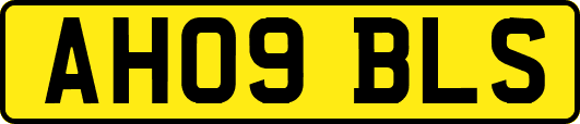 AH09BLS