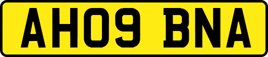 AH09BNA