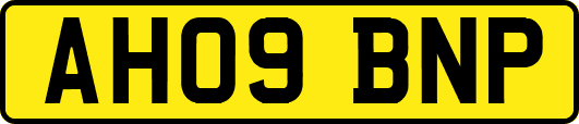 AH09BNP
