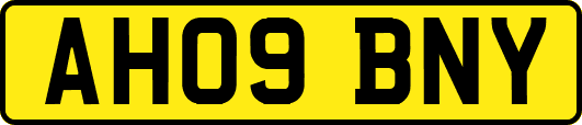 AH09BNY