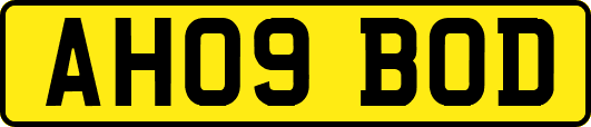 AH09BOD