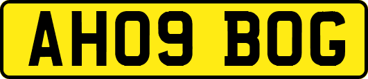 AH09BOG