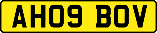 AH09BOV