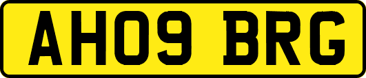 AH09BRG