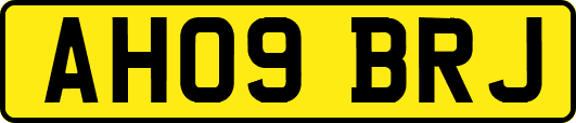 AH09BRJ