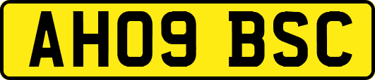 AH09BSC
