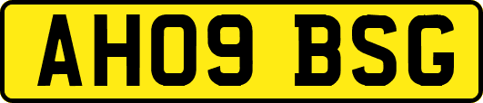 AH09BSG